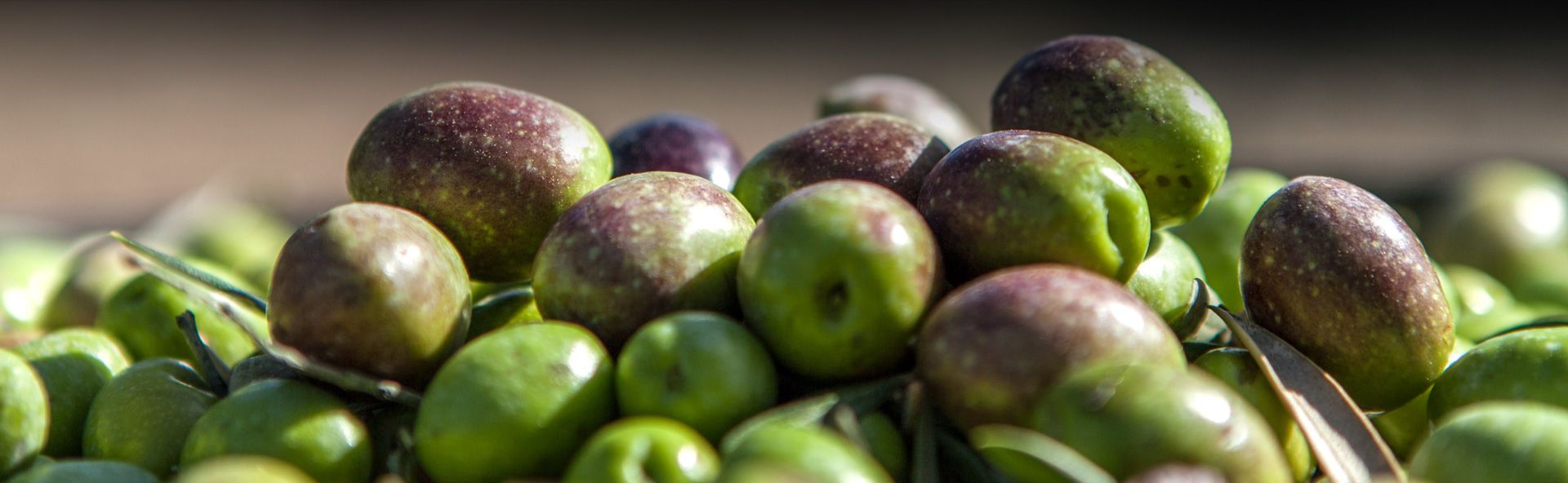 Aceitunas