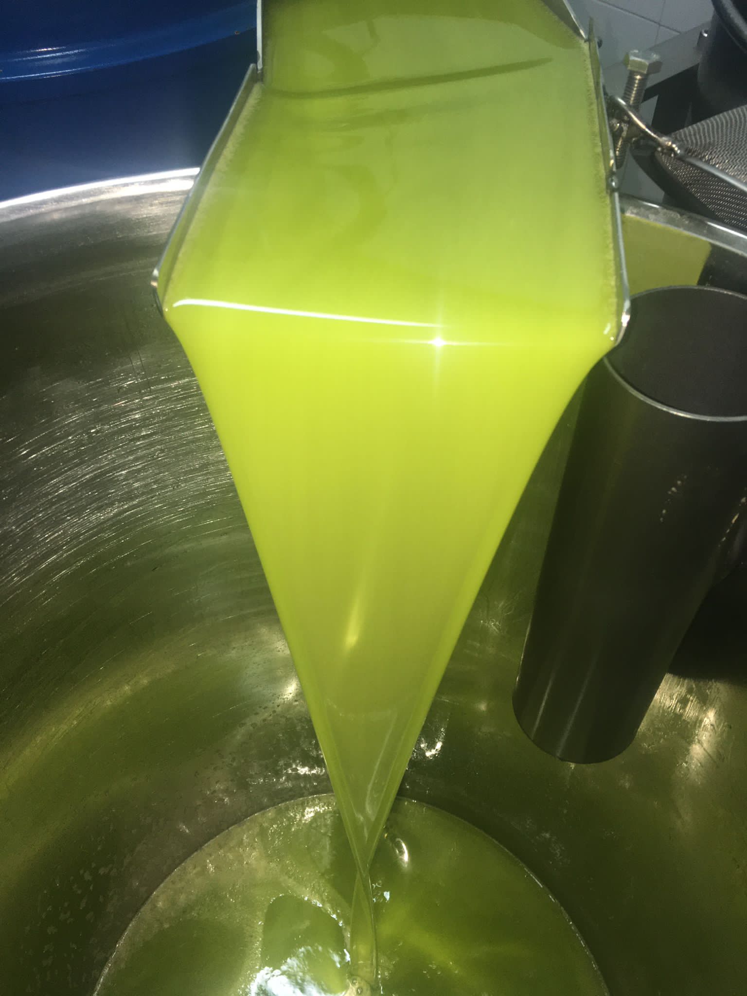 Aceite de oliva virgen extra en producción