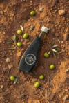 Aceite verde primera cosecha 2025 2026