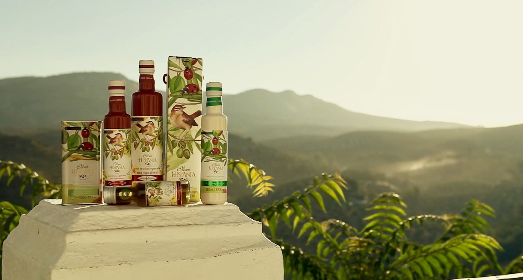 Envases de aceite de oliva virgen extra